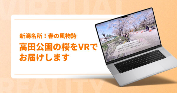 【新潟名所！春の風物詩】高田公園の桜をVRでお届けします