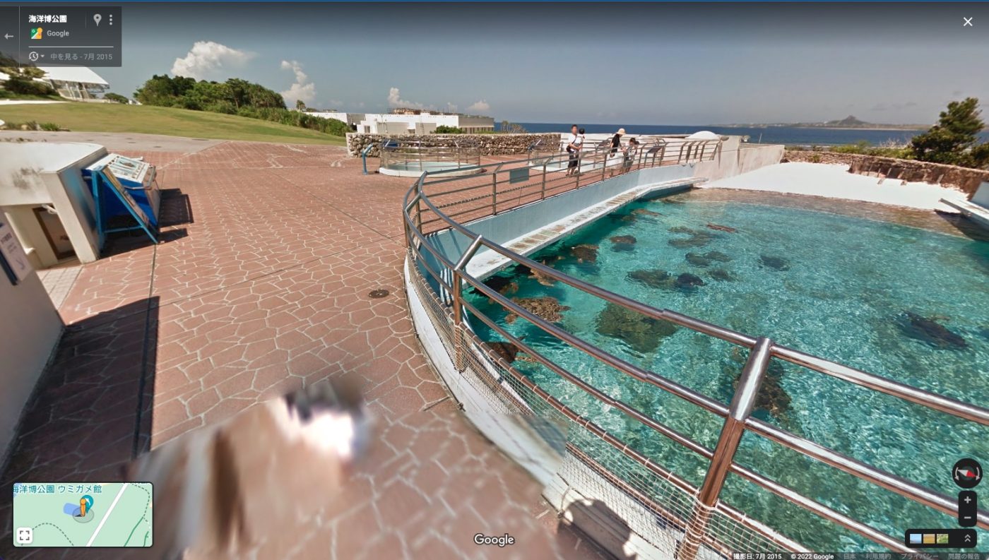 美ら海水族館