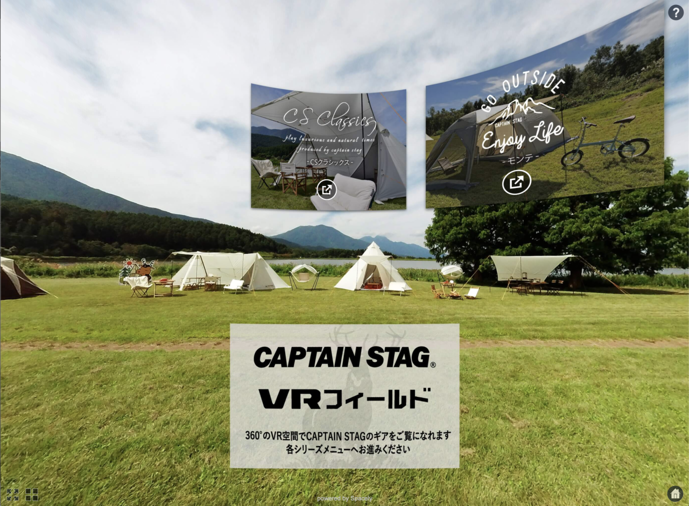 CAPTAIN STAG