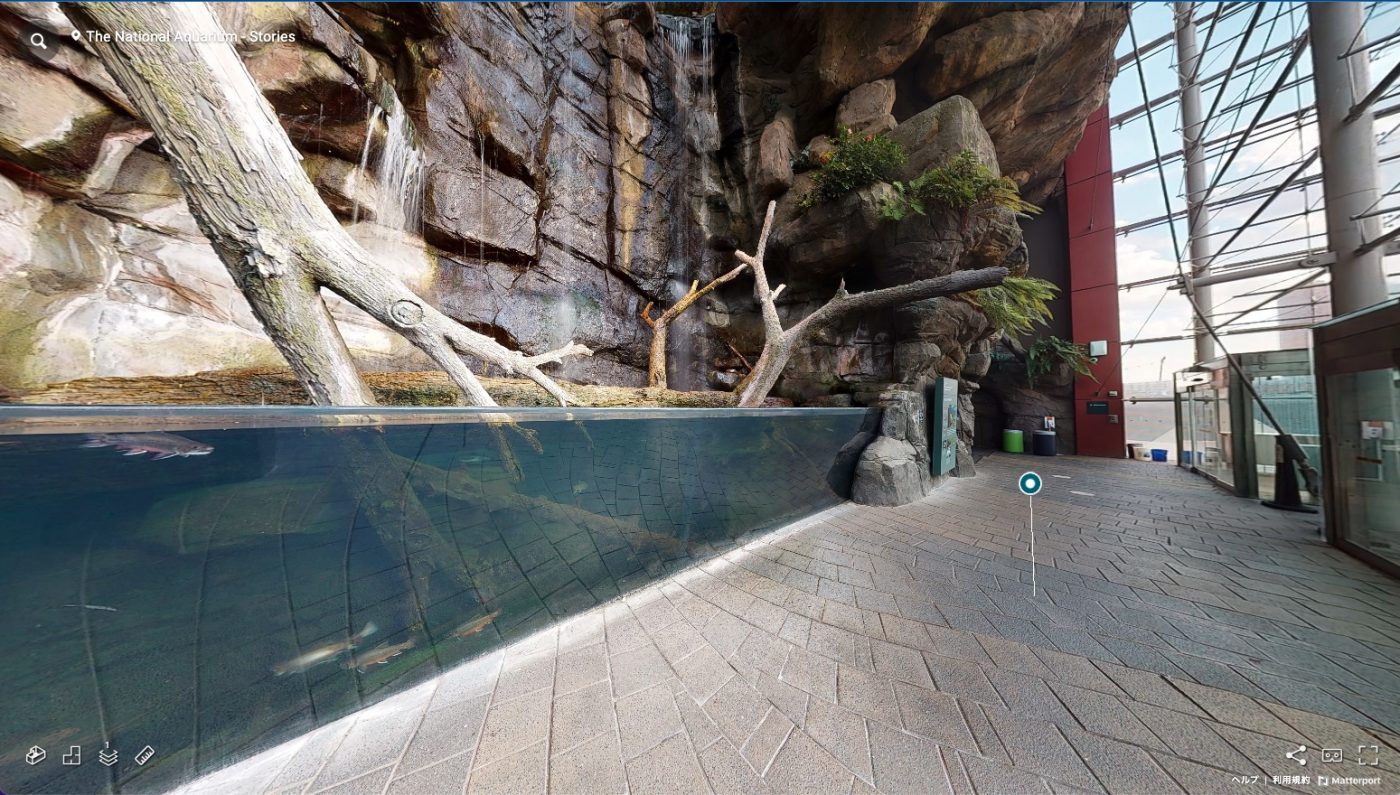 国立水族館