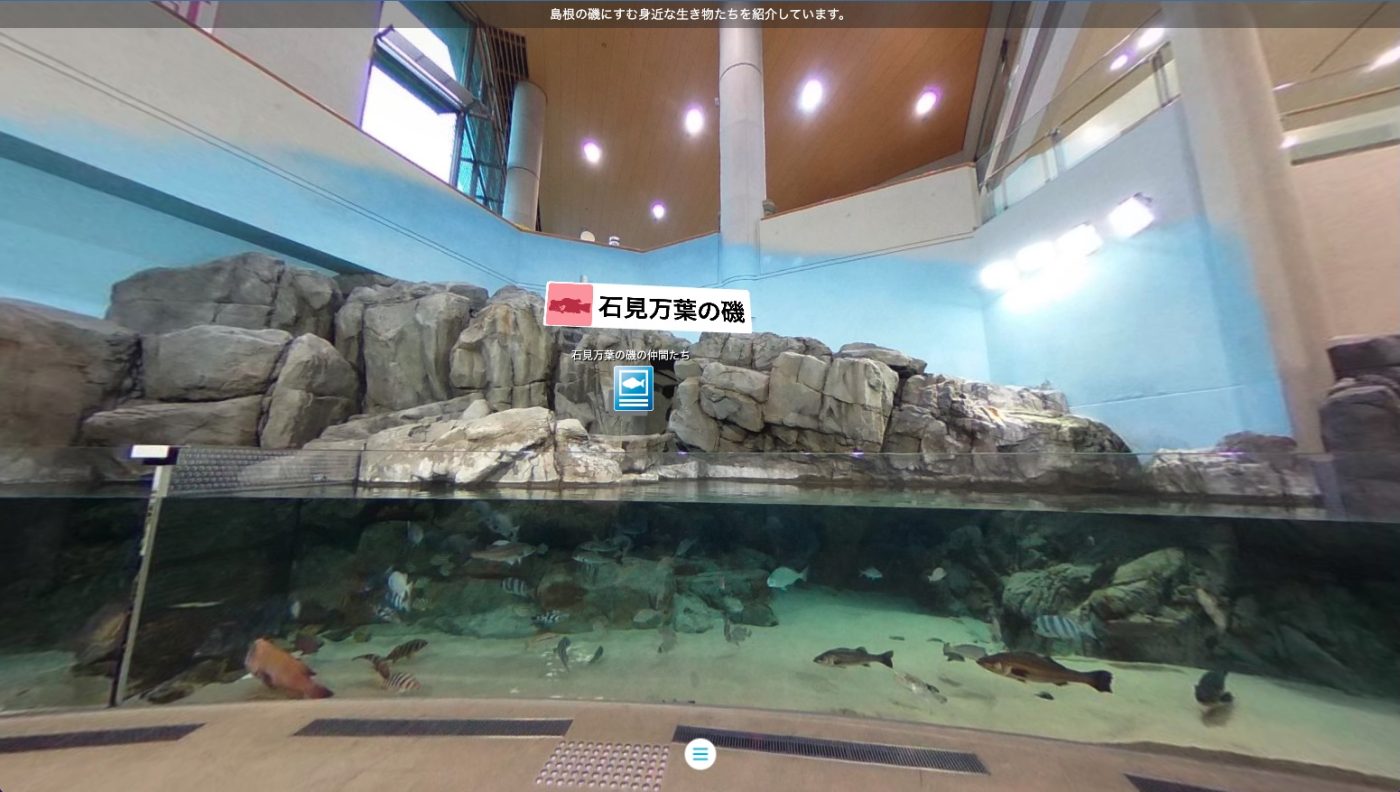しまね海洋館アクアス