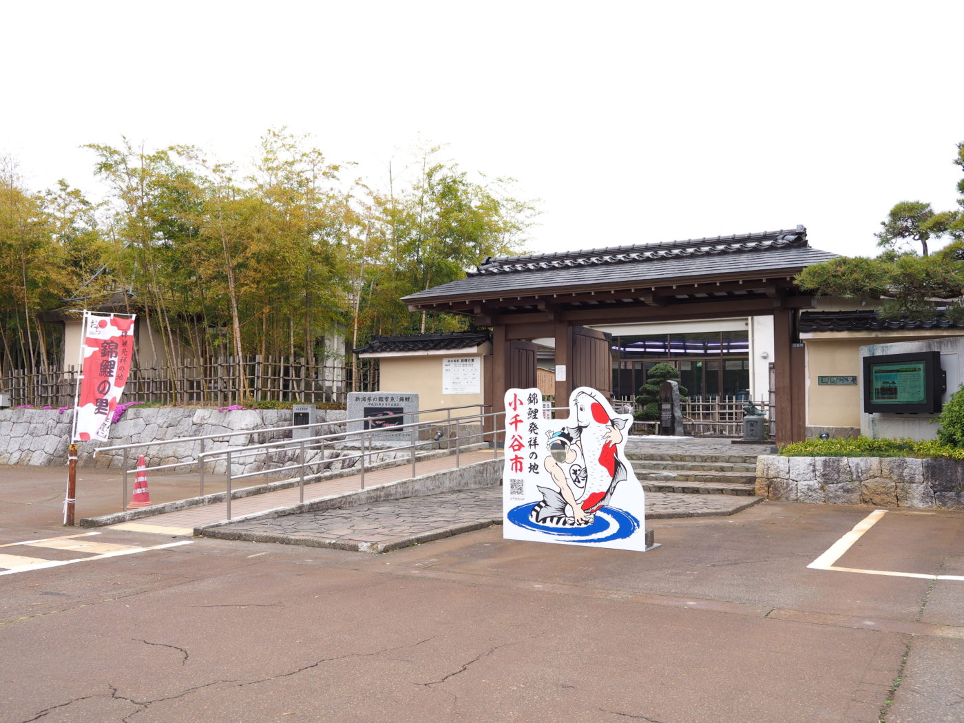 錦鯉の里