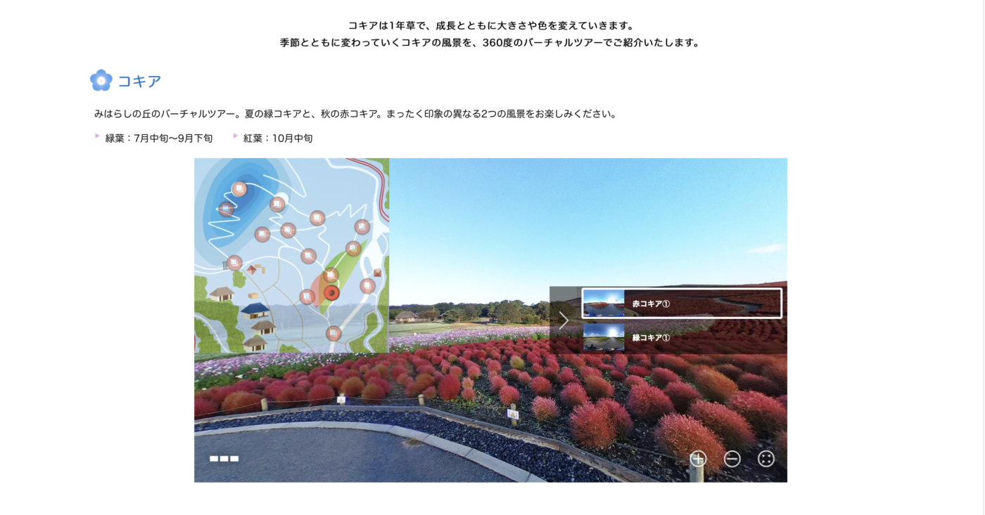 国営ひたち海浜公園