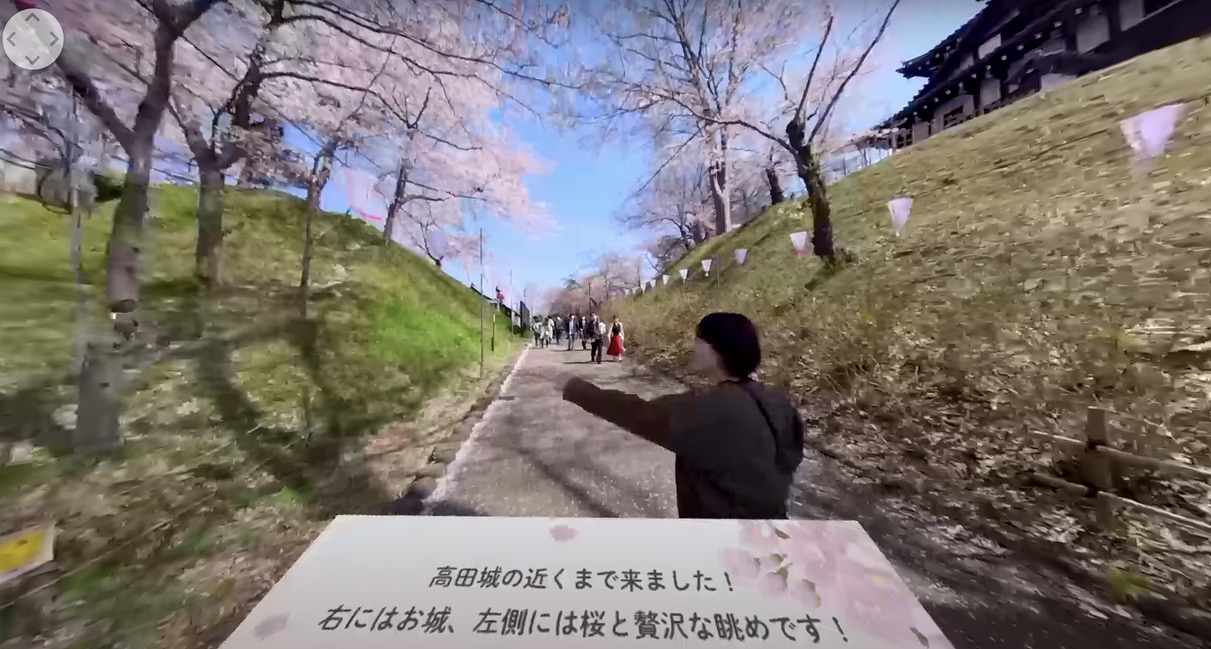 桜と高田城紹介のスクショ