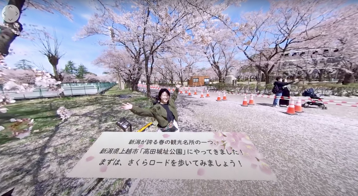 桜ロードの紹介スクショ