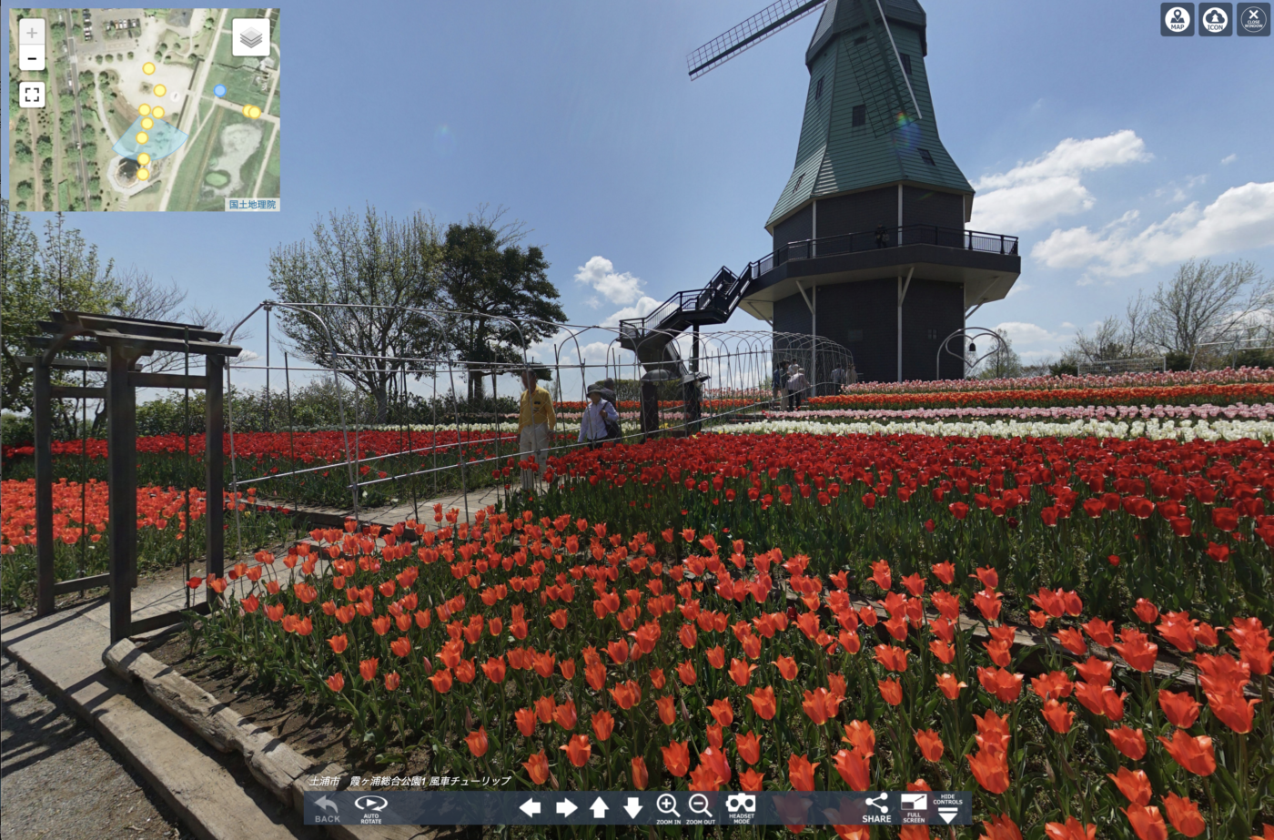 霞ヶ浦総合公園のチューリップ VR